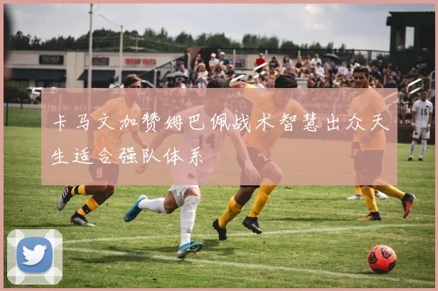 卡马文加赞姆巴佩战术智慧出众天生适合强队体系