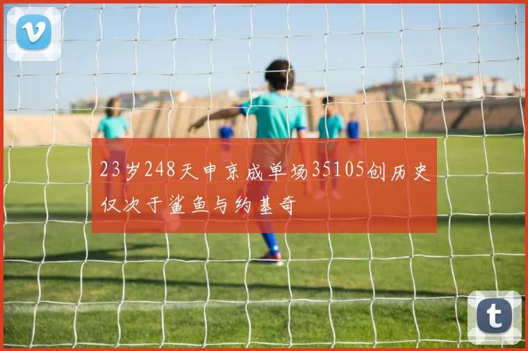23岁248天申京成单场35105创历史仅次于鲨鱼与约基奇